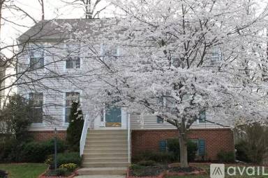 Main picture of 3011 Terra Maria Way