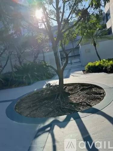 Main picture of 8251 NW 8th St