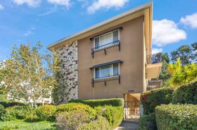 Main picture of SKOL Apartments