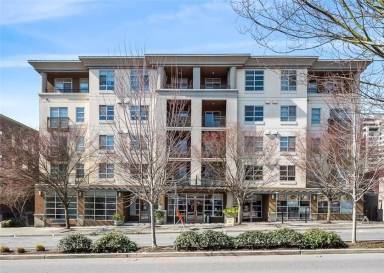 Main picture of Belle Arts Apartments