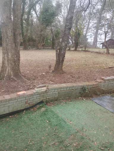 Main picture of 2125 Bixler Cir