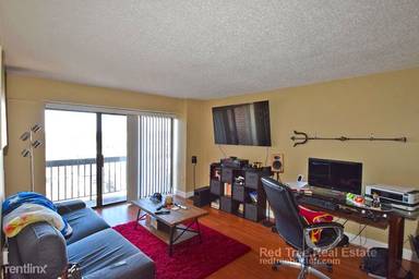 Main picture of Allston Apartment