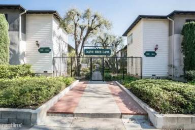 Main picture of Olive Tree Lane Apartments