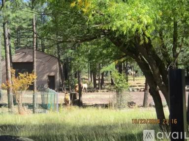 Main picture of 3850 W White Mountain Blvd