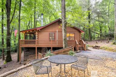 Main picture of 159 Pack Creek Rd