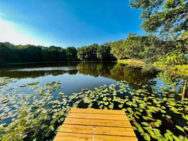 Main picture of 1610 Palm Leaf Dr