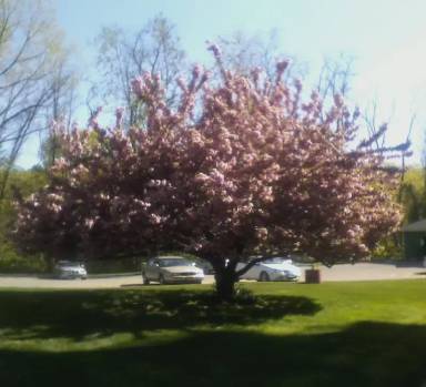 Main picture of 35 Topland Rd