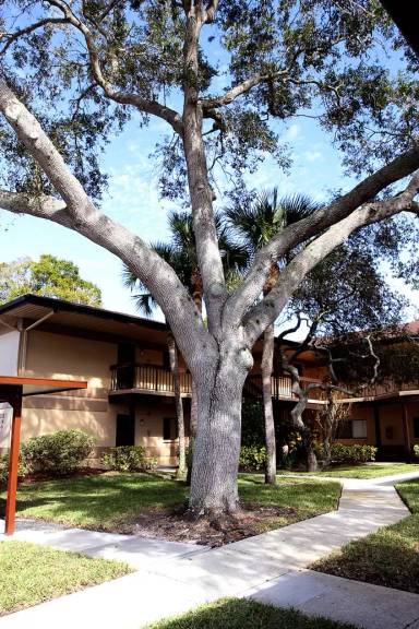 Main picture of 2661 Sabal Springs Cir