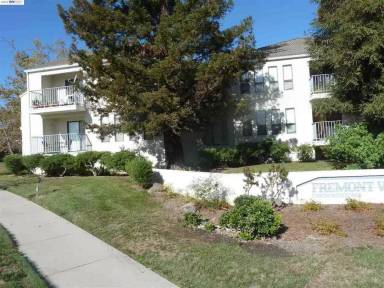 Main picture of 39455 Albany Cmn