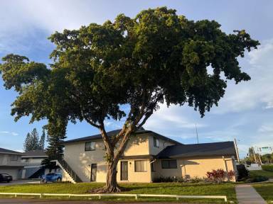 Main picture of Cateleya Shores