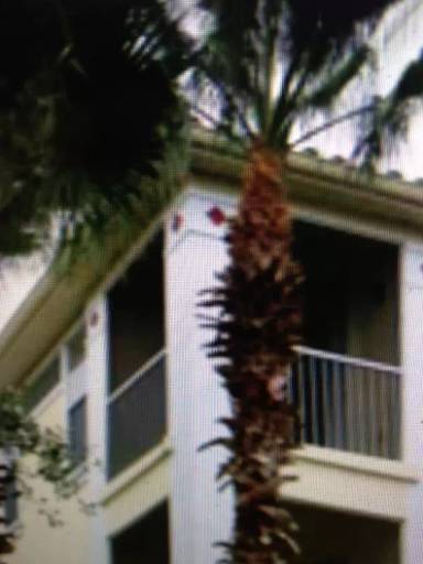Main picture of Visconti West