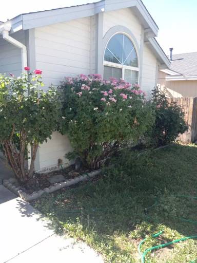 Main picture of 546 Rawe Peak Dr