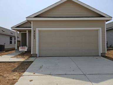 Main picture of 9262 Honey Mesquite