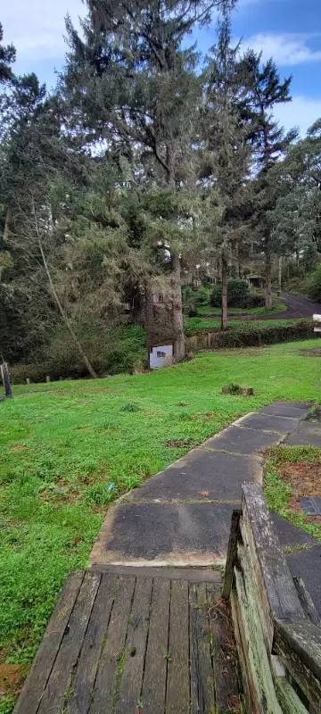 Main picture of 4318 Bailey St