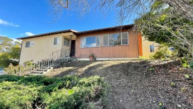 Main picture of 425 Luneta Dr