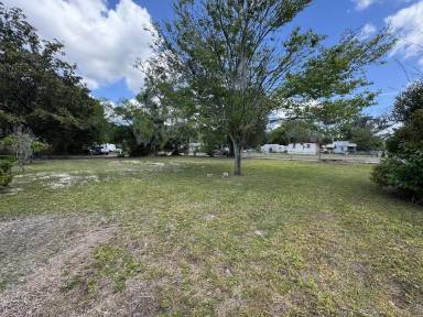 Main picture of 12556 Palmetto St