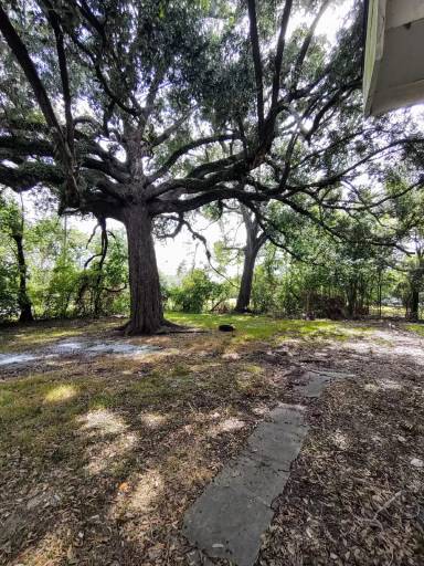 Main picture of 2105 Laurel St