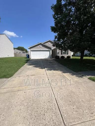 Main picture of Fire Pink Ct