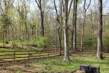 Main picture of 409 Walnut St