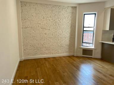 Main picture of 243 E 120th St