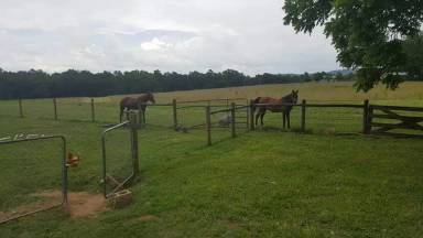 Main picture of 565 Riggins Ferry Rd