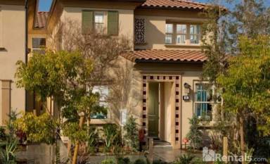 Main picture of 84 Agave