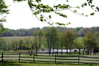 Main picture of 14820 Kelley Farm Dr