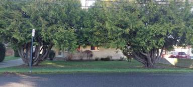 Main picture of 3025 Lindbergh Ave