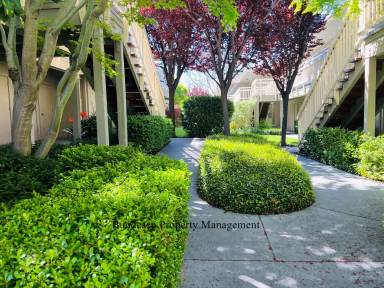 Main picture of 720 Petaluma Blvd S
