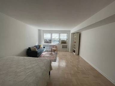 Main picture of 333 E. 75th