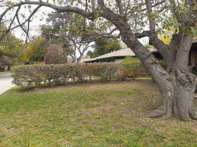 Main picture of 2829 Larkin Ave