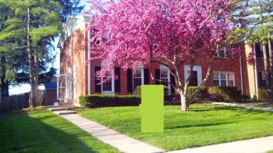 Main picture of 111 41st St