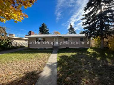 Main picture of 517 W Main St