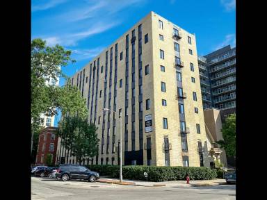 Main picture of Viking