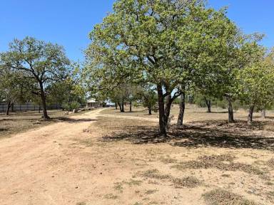 Main picture of 8164 Highway 261