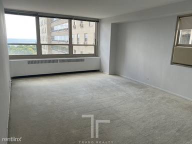 Main picture of 3950 North Lake Shore Drive Condominium