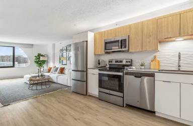 Main picture of River City