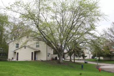 Main picture of 2700 56th St NW