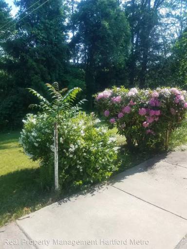 Main picture of 10 Becker Pl