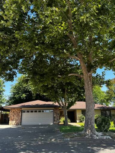 Main picture of 356 Rivella Vista Dr