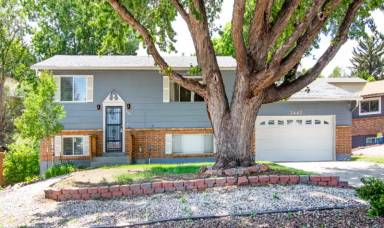 Main picture of 3443 Amador Cir