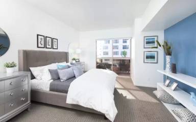 Main picture of 255 Grand Apartments