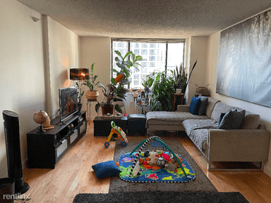 Main picture of Newport Apartments