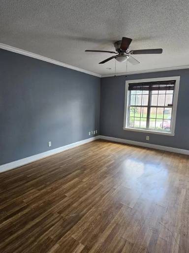 Main picture of 529 Cambout St