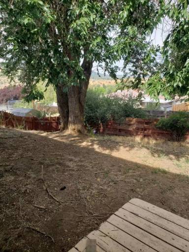 Main picture of 623 Roosevelt St