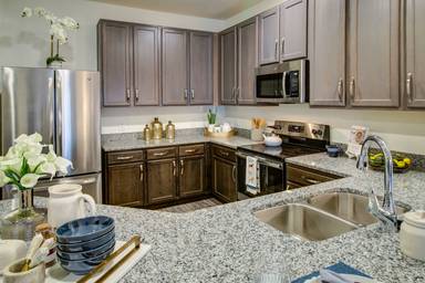 Main picture of Allure Apollo