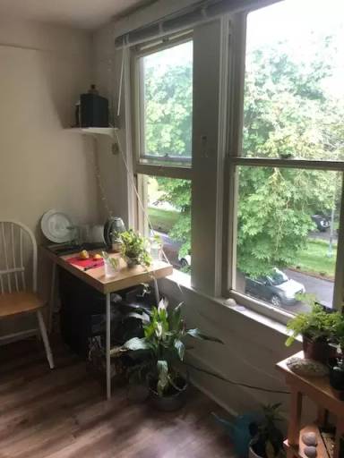 Main picture of 5038 17th Ave NE