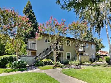 Main picture of 129 Luna Grande Cir