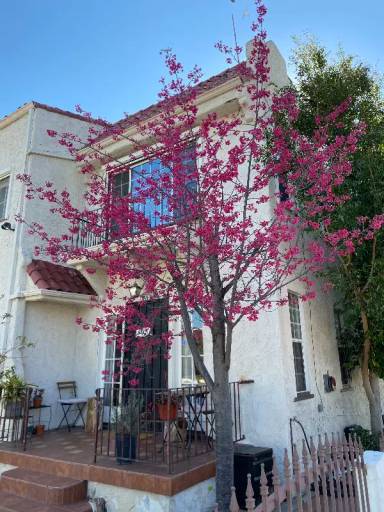 Main picture of 902 16th St
