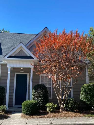 Main picture of 3557 Creeping Flora Ln